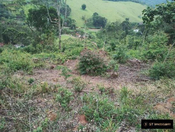 Imagem Sítio Nazaré 86 mil m² com Lagos para Pesca - Aceita Propostas e Permuta