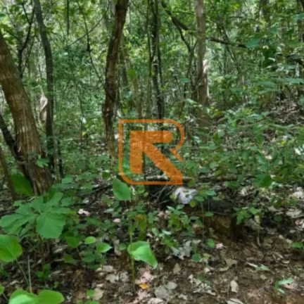 Imagem Sua Oportunidade de Investimento em Formosa-GO