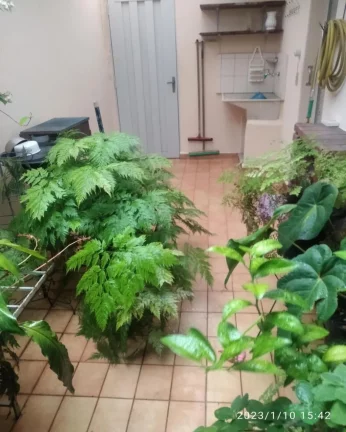 Imagem Linda casa Bonfiglioli