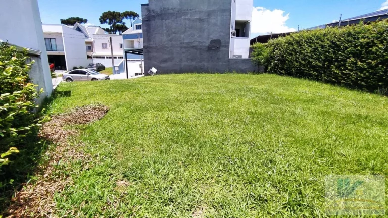 Imagem Lote para Venda em São José dos Pinhais, Iná