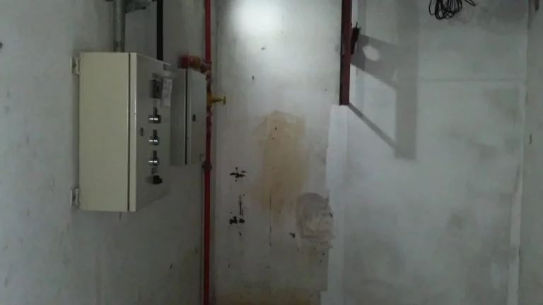Imagem Laje comercial na Paulista - Casa das Flores