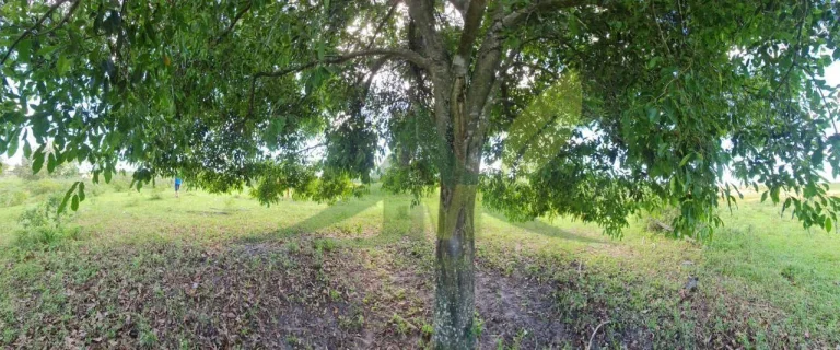 Imagem FAZENDA PEROBAS - OPORTUNIDADE ÚNICA DE INVESTIMENTO EM ARARUAMA/RJ