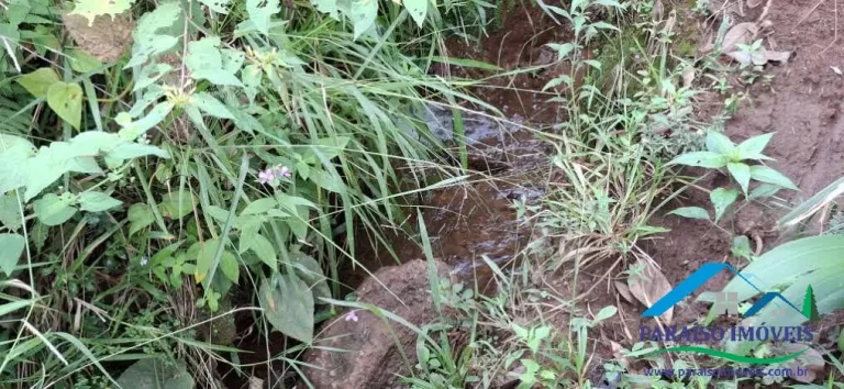 Imagem Seu Refúgio nas Nuvens: Terreno Exclusivo na Serra da Mantiqueira!