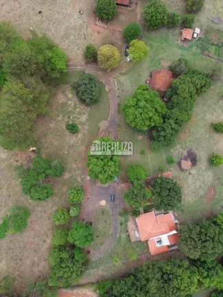 Imagem Fazenda à venda proximo ao Jockey Clube de 14,5 Alqueires com aproveitamento de 10 Alqueires em Uberaba saida para a Cidade de Campo Florido.