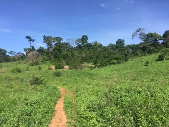 Imagem FAZENDA RURAL em COLATINA - ES, ÁREA RURAL DE COLATINA