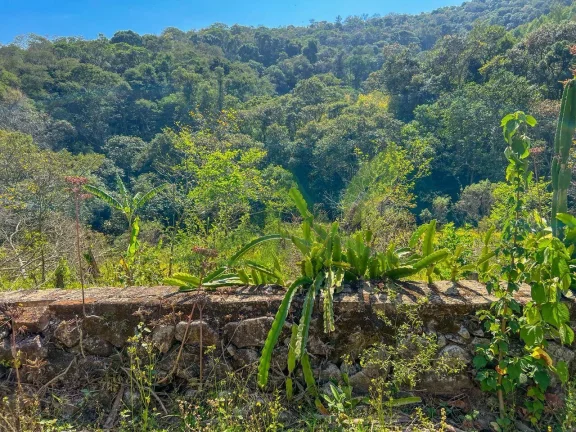 Imagem Sítio em Atibaia – Itapetinga | 15 Alqueires Melhor valor por m² da região