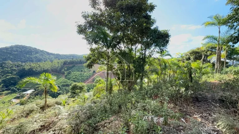 Imagem Chacara em Melgaço - Domingos Martins