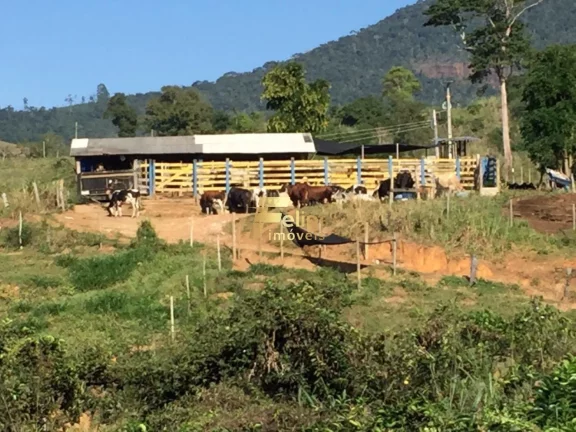 Imagem Fazenda de aproximadamente 50 alqueires.