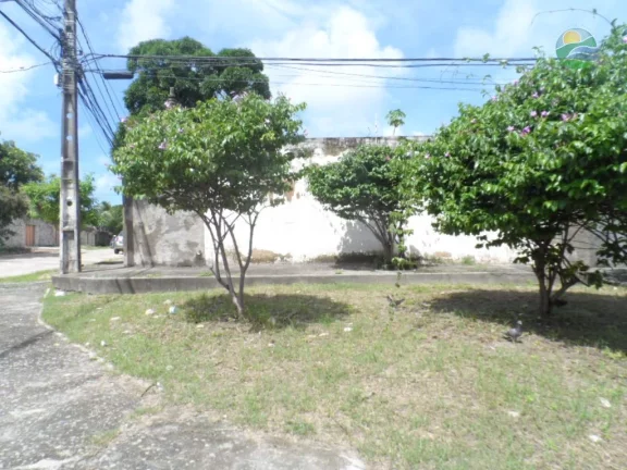 Imagem Casa com 3 quartos, 234m2, à venda em Jaboatão dos Guararapes, Piedade