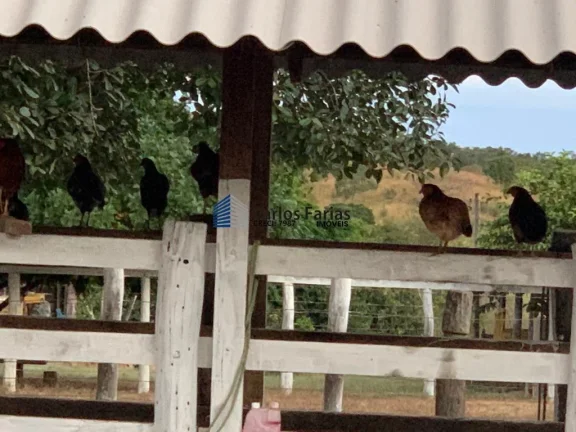 Imagem Fazenda para Venda em Mimoso de Goiás, MIMOSO GOÍAS, 6 dormitórios, 4 suítes, 5 banheiros, 4 vagas