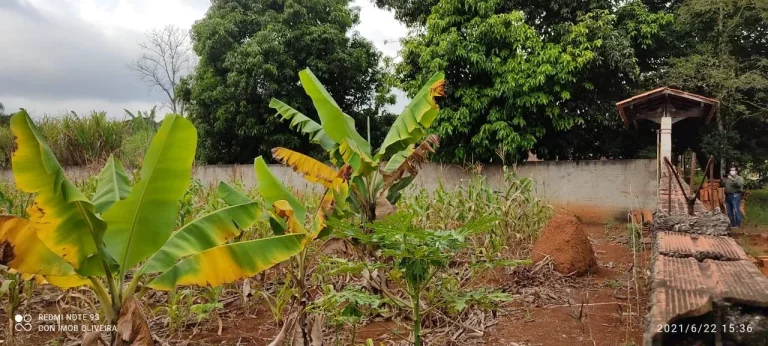 Imagem Terreno à Venda, 1.000 m² em Bosque Dos Eucaliptos - Araçoiaba Da Serra