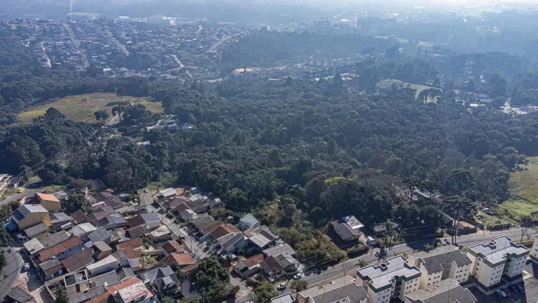 Imagem Terreno Santa Candida com 6161m²