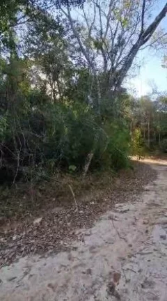 Imagem TERRENO LOCALIZADO NO JARDIM CANANEIA - PILAR DO SUL - SP