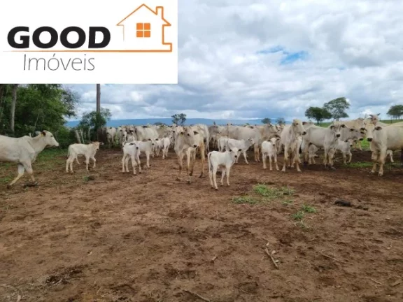 Fazenda RURAL em Silva Jardim - RJ, Silva Jardim
