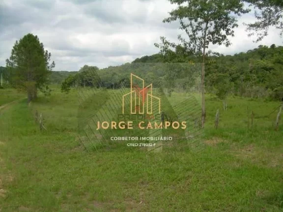 Imagem AR - 24139 – ÁREA À VENDA EM SUZANO / SP com nascente de água potável e energia eléctrica