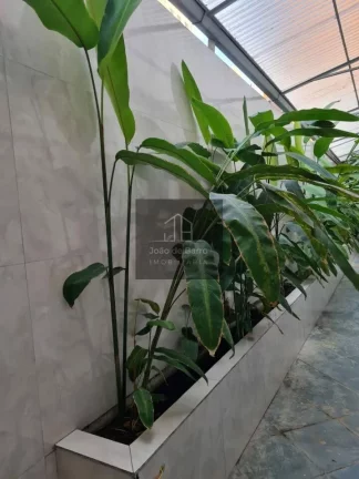 Imagem Casas Residenciais, Predios Comerciais, Hotel, Vila Clementino - São Paulo