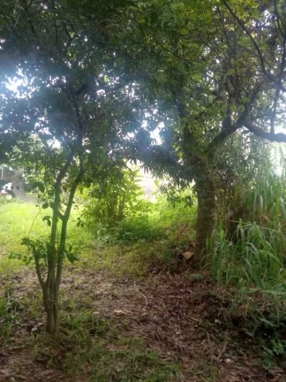 Imagem Terreno para alugar, 350 m² por R$ 2.000,00/mês - Vila do Americano - Ferraz de Vasconcelos/SP