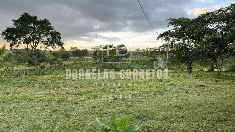 Imagem Fazenda Com 2 casas curral, açudes, poço, 7.500hc as margens da bar. tapacurá