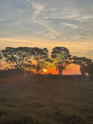 Imagem Paraíso Rural em Atibaia: Natureza, Vistas Deslumbrantes e Conexão Urbana