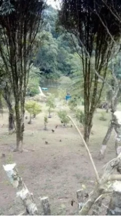 Imagem Ótima chácara Arujá casa lago piscina e churrasqueira!