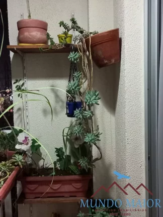 Imagem Apartamento com 3 Quartos - 1 suite -1 vaga -à venda - Vila Homero Thon.