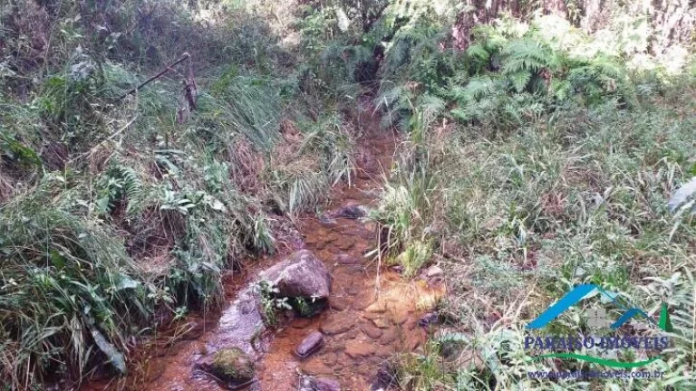 Imagem Paraíso para amantes da natureza: Terreno com cachoeira em Gonçalves!