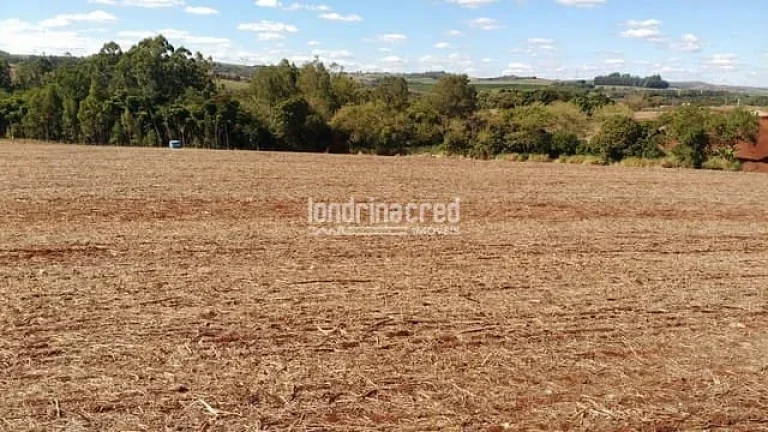 Imagem Chácara à venda 3000M², Centro, Cornélio Procópio - PR