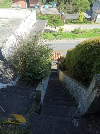 Imagem Alugo Chácara em Theodoro com 3 quartos e 1 suíte