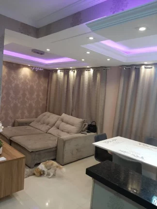 Imagem Terreno com Linda Casa não Averbada no Pinheirinho