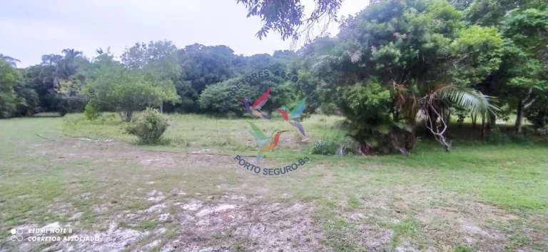 Imagem BELÍSSIMA ÁREA PARA CONDOMÍNIO EM SANTO ANDRÉ BAHIA