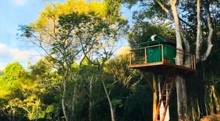 Imagem A Dimensão Exclusiva do Refúgio: Natureza e Investimento em Gonçalves