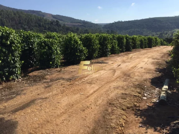 Imagem Fazenda de aproximadamente 50 alqueires.