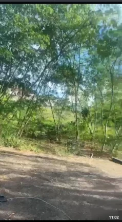 Imagem VENDO TERRENO DE 7 MILM2 NO CONDOMÍNIO BARRA SUL BARRA DA TIJUCA