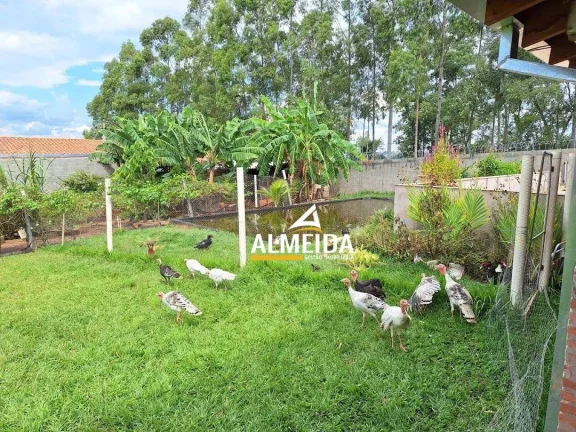 Imagem Chácara com 3 dormitórios à venda, 1400 m² por R$ 1.200.000,00 - Jardim Santa Maria - Rio Claro/SP