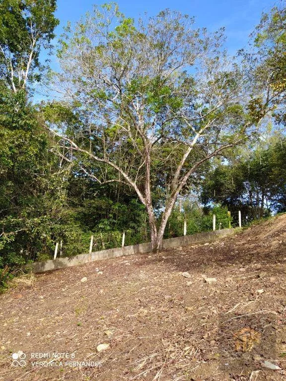 Imagem Terreno à Venda, 4.959 m² em Aldeia - Paudalho