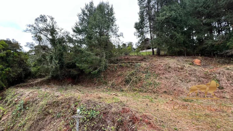 Imagem ÁREA DE 6500M² COM CASA EDIFICADA Á VENDA EM CAMPOS DO JORDÃO-SP