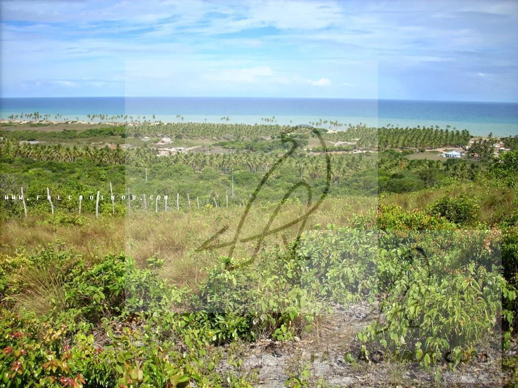 Imagem Terreno para Venda em Conde / BA no bairro Barra do Itariri