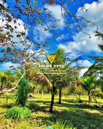 Imagem SITIO RESIDENCIAL em SANTA CRUZ CABRÁLIA - BA, yaya
