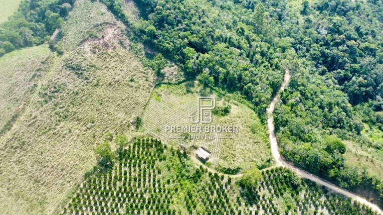 Imagem Sítio à venda, 90000 m² por R$ 900.000,00 - Fazenda Alpina - Teresópolis/RJ