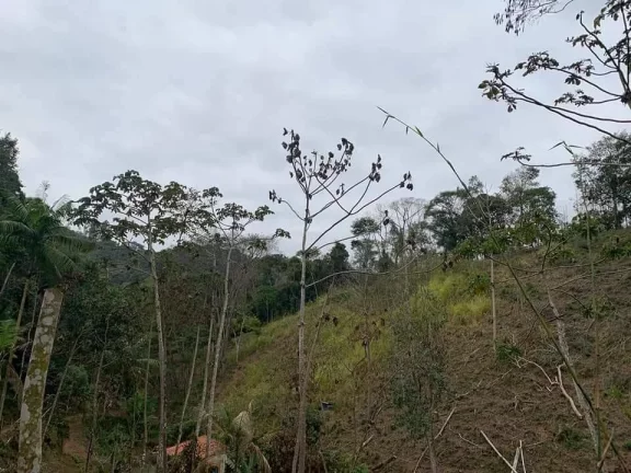 Imagem PROPRIEDADE A VENDA EM NOVA FRIBURGO - 81.000m2