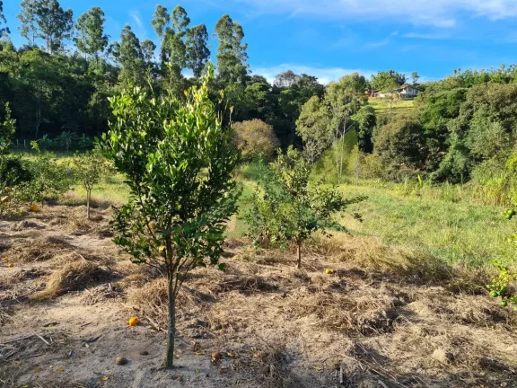 Imagem Sítio à Venda em Piracaia com 55.000m²