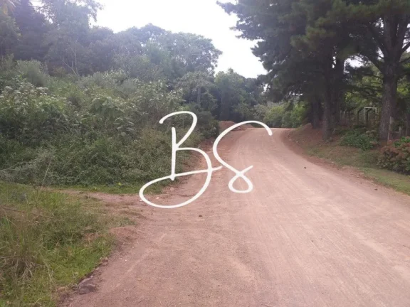 Imagem SITIO RURAL em IGREJINHA - RS, Serra Grande