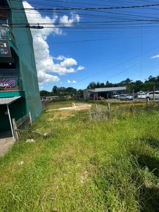 Imagem Terreno com 7 Dormitorio(s) localizado(a) no bairro Querência em Viamão / Rio Grande do Sul Ref.:57580551