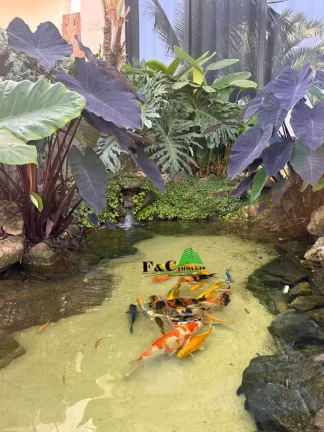 Imagem Casa em Condomínio para Venda em Limeira, Residenciais Fazenda Itapema, 4 dormitórios, 2 suítes, 3 banheiros, 4 vagas