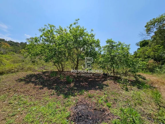 Imagem Sítio à venda, 300000 m² por R$ 1.300.000,00 - Ponte Nova - Teresópolis/RJ