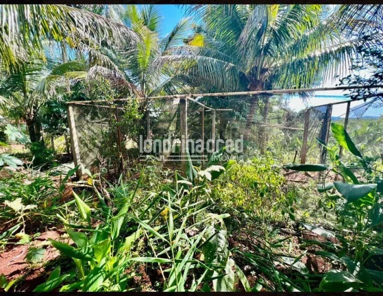 Imagem Chácara em Jataizinho com 1.575m² de terreno, 130m² construídos, casa com 2 suítes, 3 banheiros, sala, cozinha e fácil acesso à cidade!