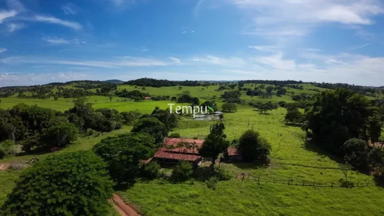 Imagem Fazenda 3 alqueires em Anicuns - Excelente para plantio