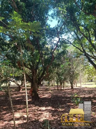 Imagem Chácara com 3 Quartos à Venda, em Portal das Araras - Três Lagoas