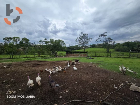 Imagem Sítio com 1 dormitório à venda, 36480 m² por R$ 3.000.000,00 - Santa Rosa - Queimados/RJ