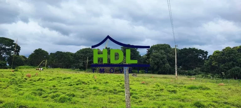 Imagem Fazenda de 23 alqs com estrutura para leite.